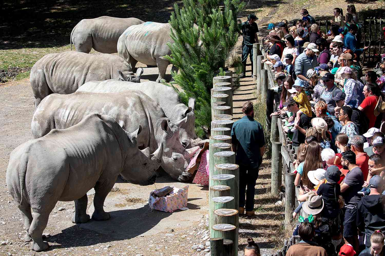 Animal Parks, Wildlife Parks and Zoos