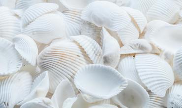 Beachcombing tools