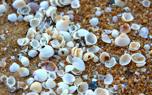 Sea glass