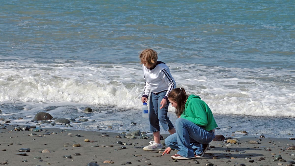 Beachcombing