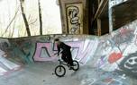 Tailwhip