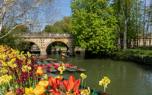 Large group pedalo