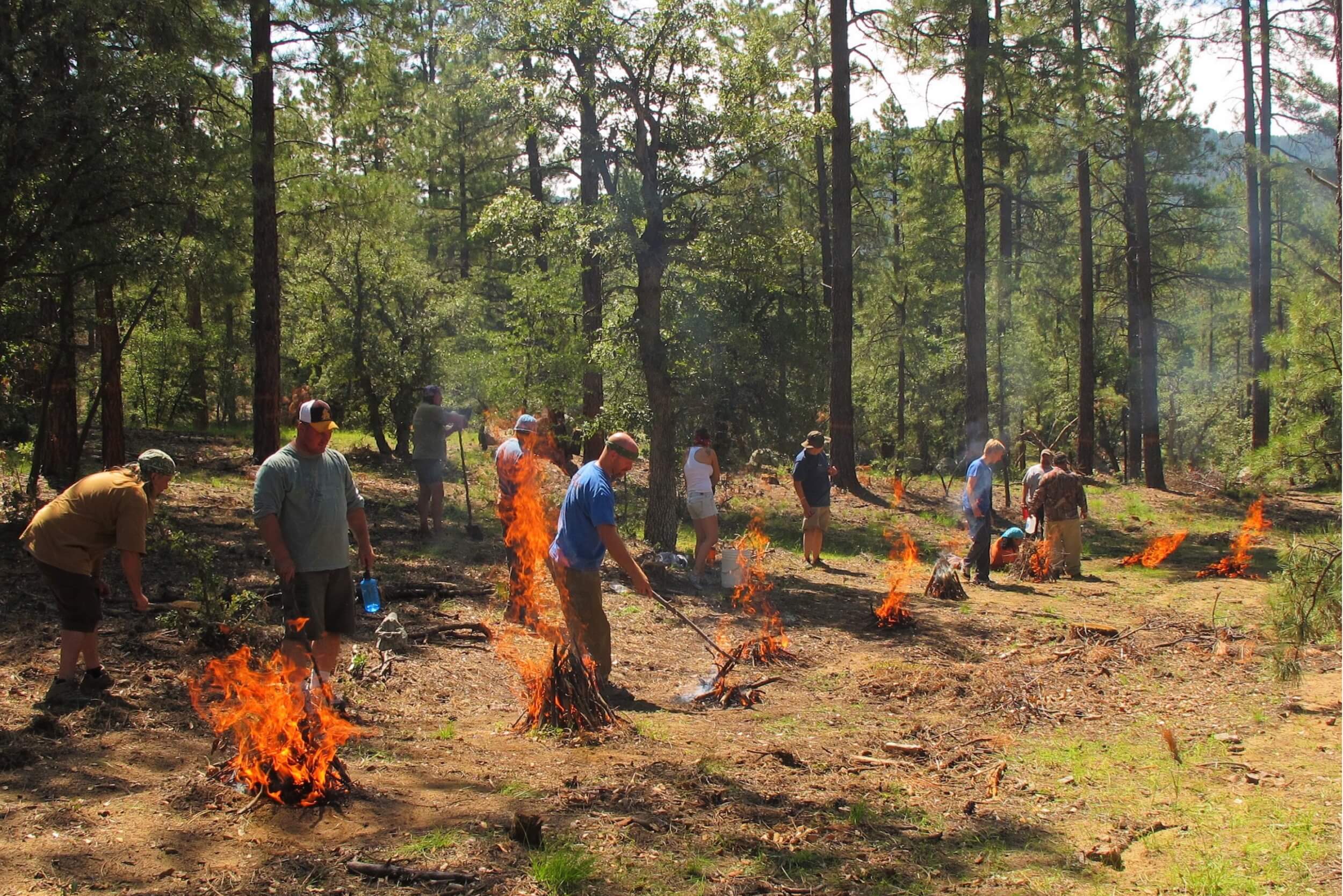 Bushcraft and survival courses