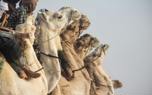 Morocco Camel Trekking
