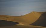 Oman Camel Trekking