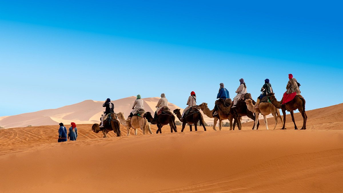 Camel trekking holidays