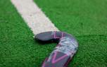 Camogie team celebration