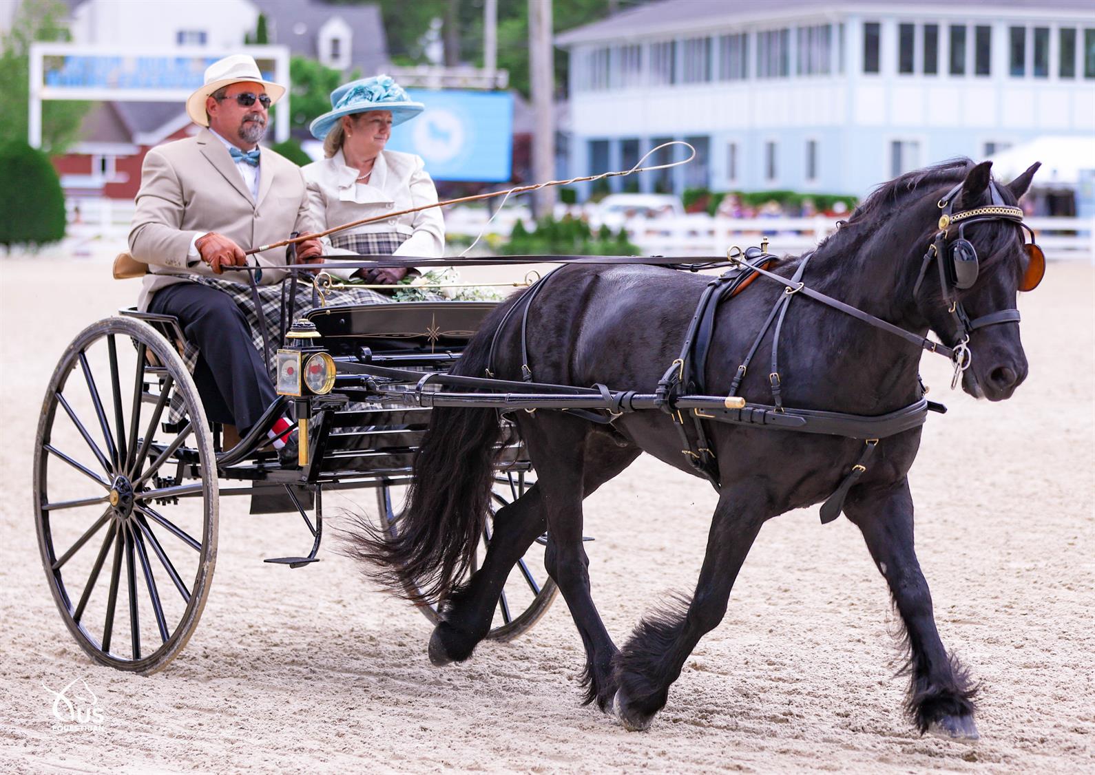 Carriage driving