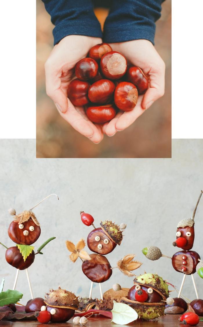 Conkers