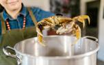 Crab trap setup