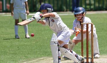 Batting pads