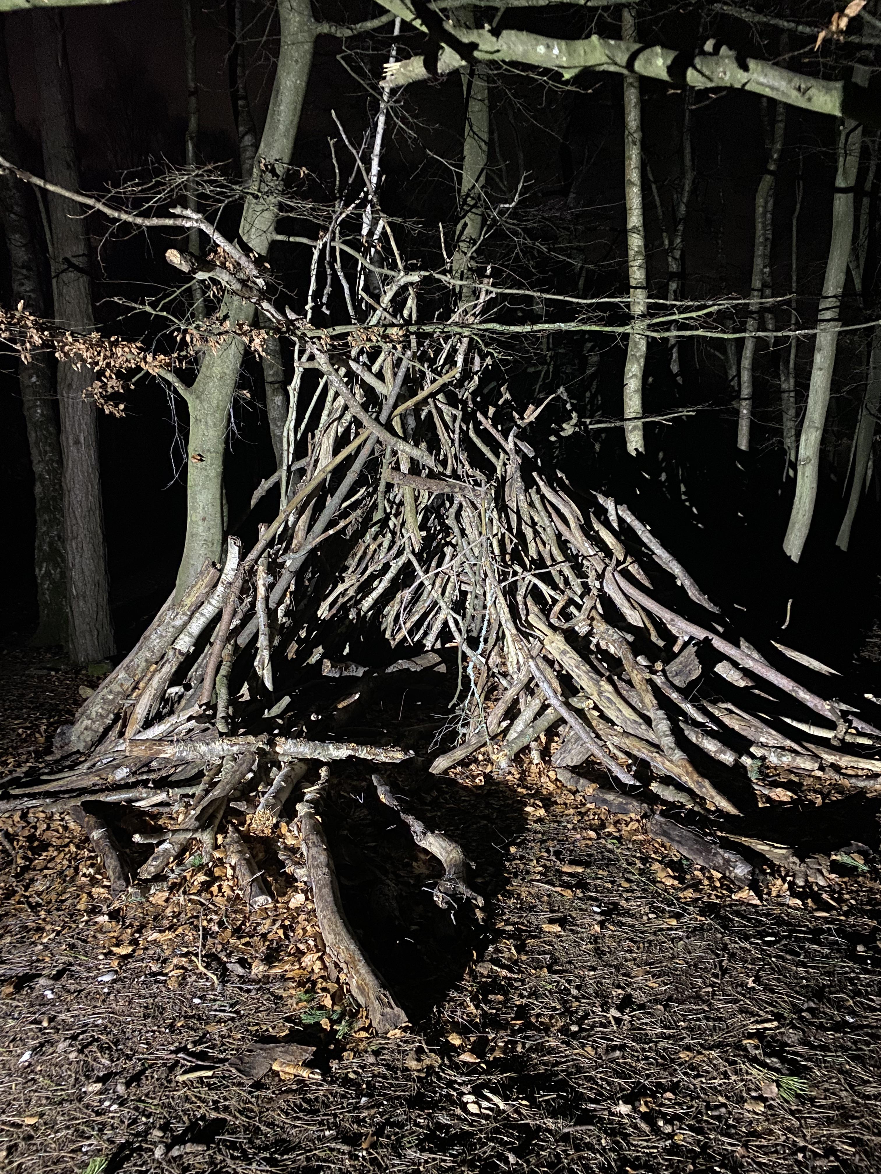 Den Building and Bivouacs
