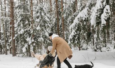 Dog sledding experience