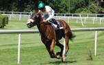Riding posture