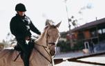 Horse training