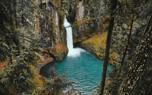 Exploring rock pools
