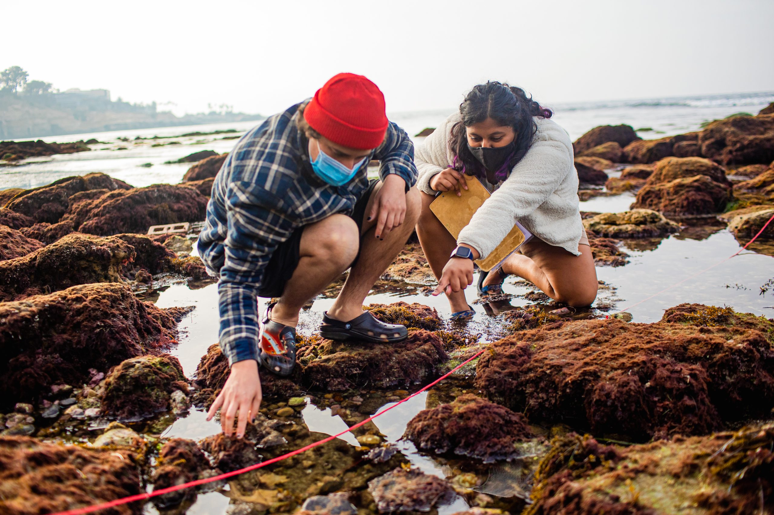 Exploring Rock Pools