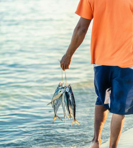 Fishing trip overview