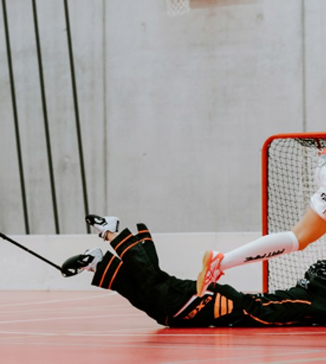 Floorball overview