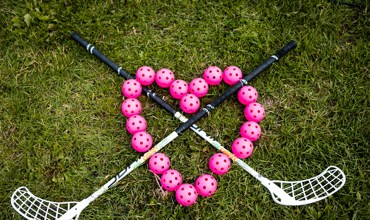 Floorball goals