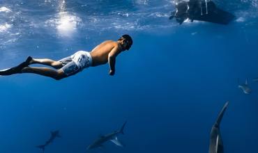 Fins