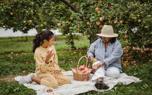 Fruit basket