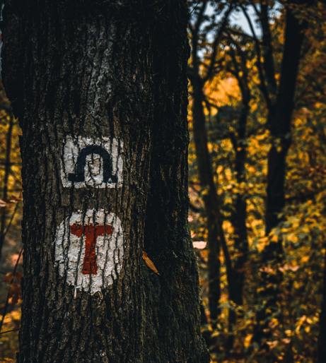 Geocaching overview