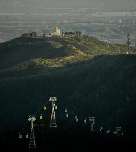 Grass skiing overview