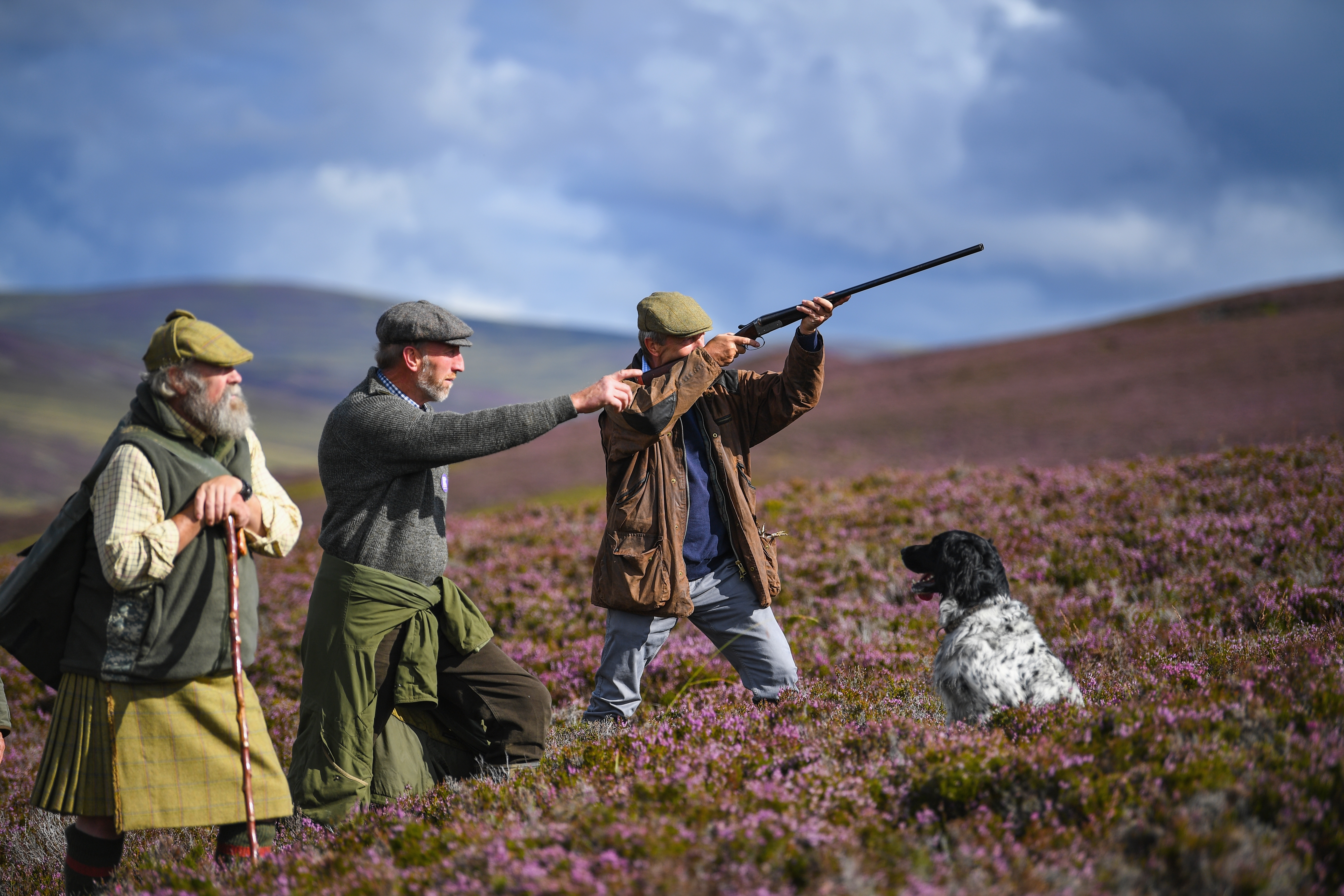 Grouse Shooting
