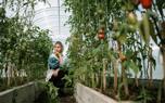 Companion planting