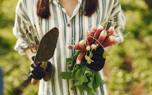 Container gardening