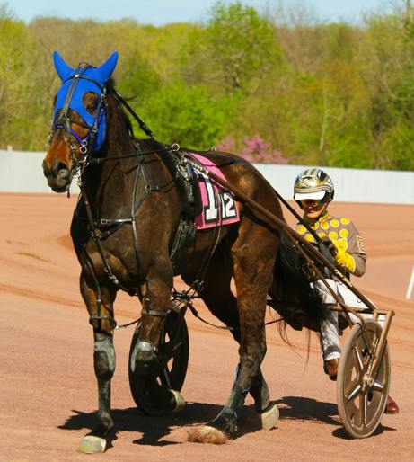 Harness racing overview