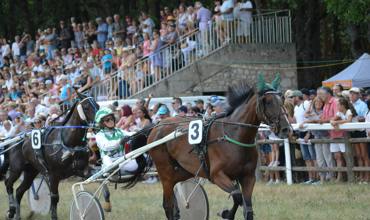 Horse gaits