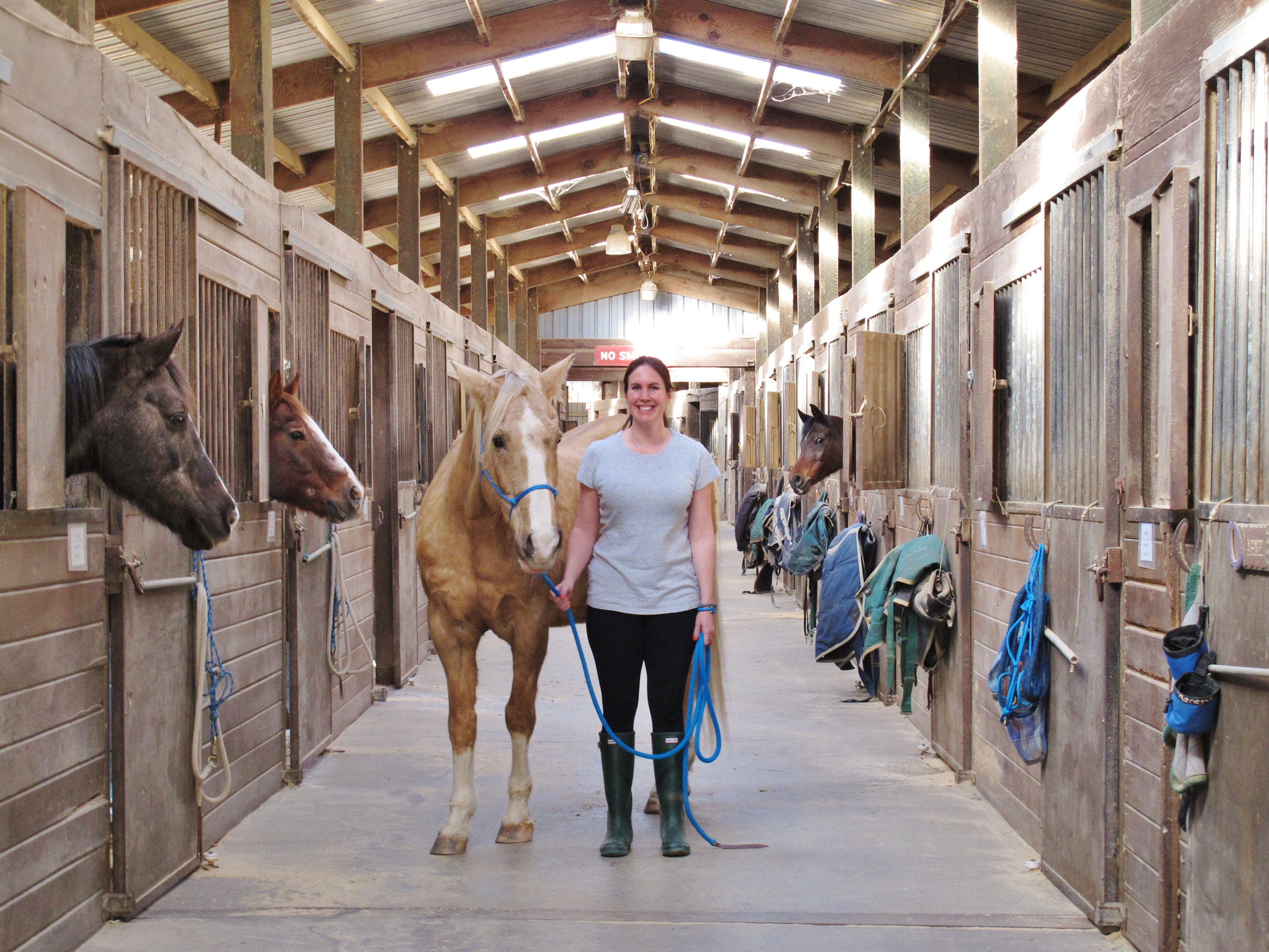 Horse Boarding