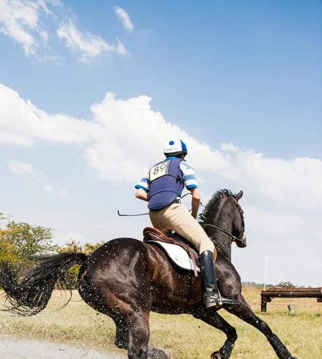 Horse racing overview