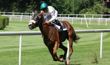 Betting tips