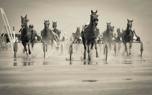 Jockey strategy