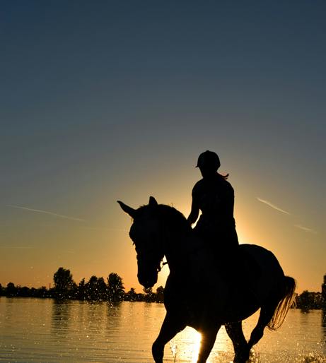 Horse riding overview