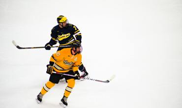 Hockey skates