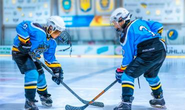 Hockey stick
