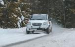 Ice racing flags