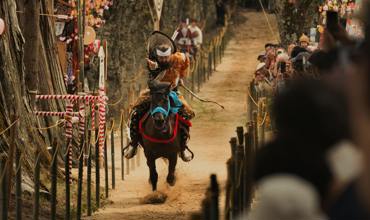 Horses