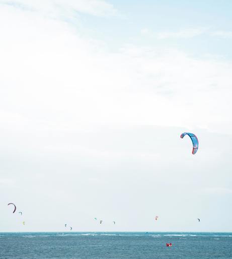 Kites and power kites overview