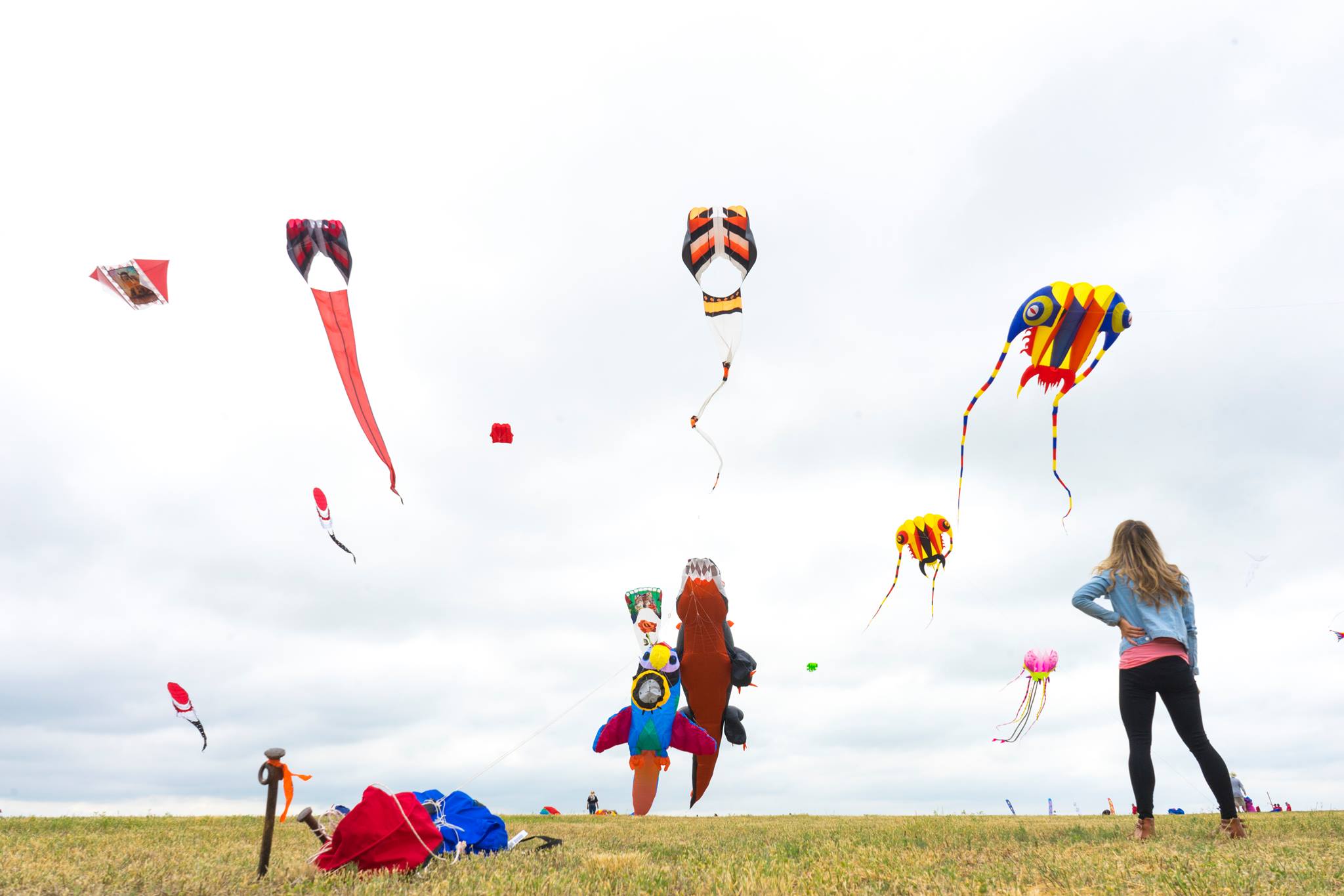 Kites and Power Kites