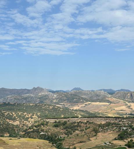 Landscape painting holiday