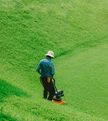 Lawn mower racing overview