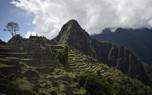 Llama trekking group