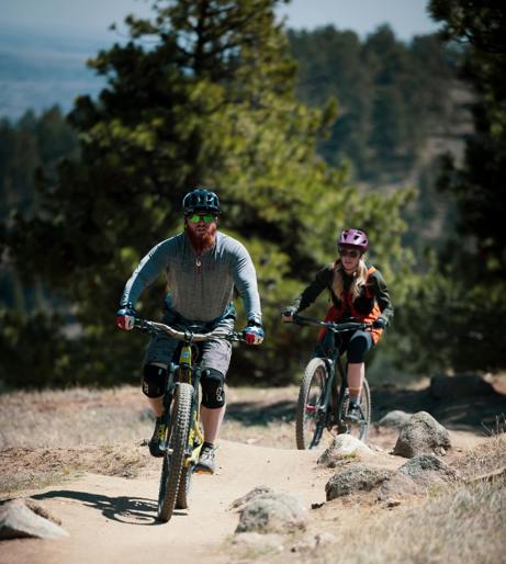 Mountain bike overview