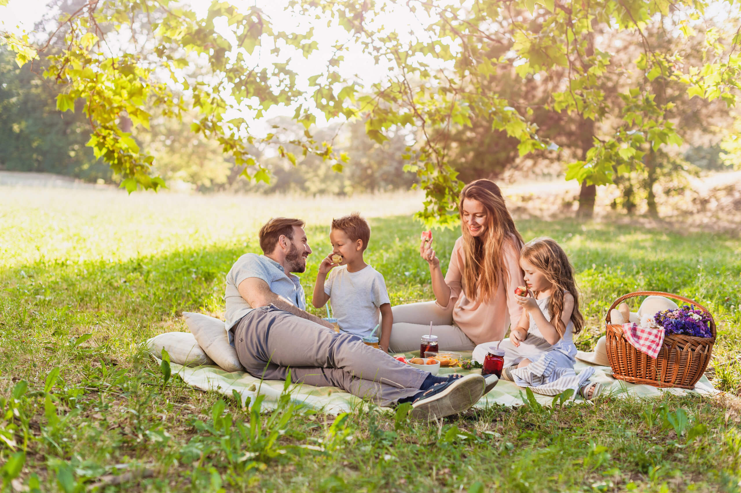 Picnics