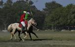 Horse training